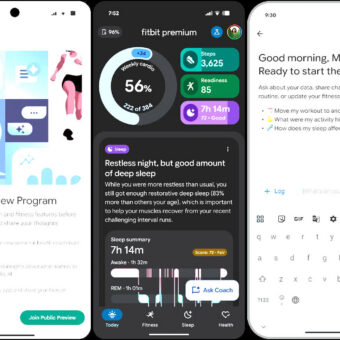 google fitbit